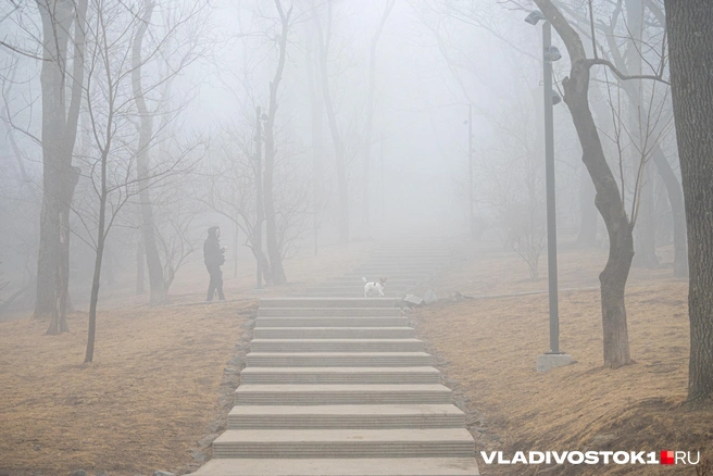 Источник: Елена Буйвол / VLADIVOSTOK1.RU
