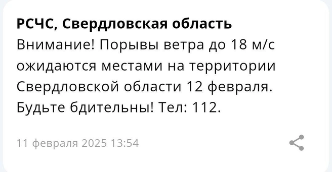 Спасатели также рассылают СМС с предупреждениями | Источник: читатель E1.RU