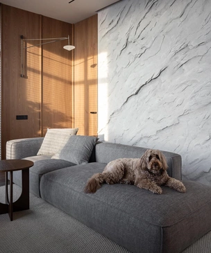 Для милой собаки Чуи и ее семьи: квартира 65 м² в Москве