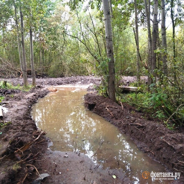Источник: Ольга Ясененко