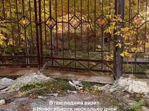 Источник: mf_agent / Instagram* (деятельность соцсети запрещена на территории РФ)