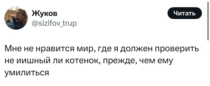 Источник: X (Twitter)