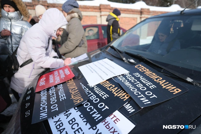 Во время пикета собирали подписи, которые активисты направят президенту  | Источник: Василиса Орлова / NGS70.RU