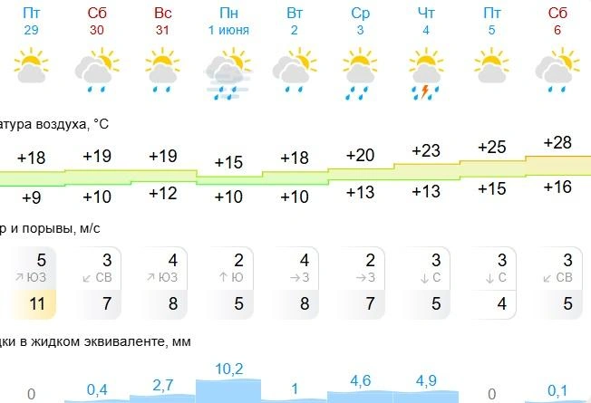 Больше всего осадков выпадет в понедельник, 1 июня | Источник: Gismeteo