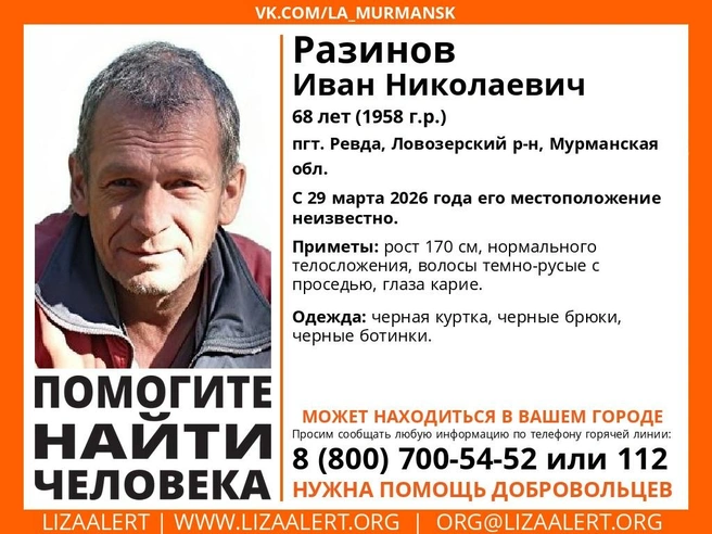 Источник: поисковый отряд «ЛизаАлерт» Мурманской области / Vk.com
