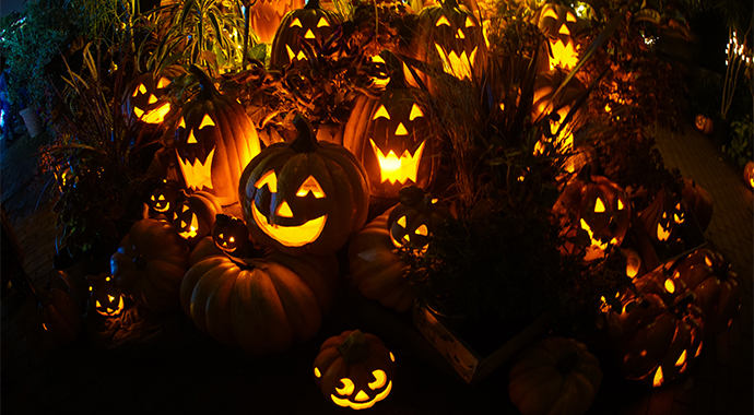 В преддверии Хэллоуина: почему ужастики полезны и как настроиться на праздник