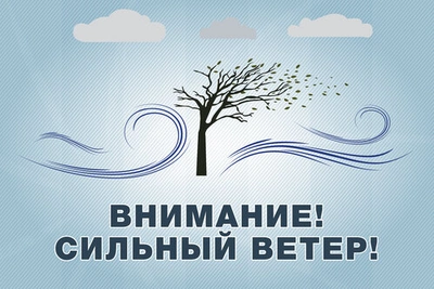 Синоптики предупредили об усилении ветра 26 мая