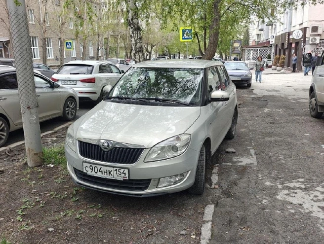 В центре не первый раз встречаются припаркованные на газонах и тротуарах машины | Источник: читатель НГС