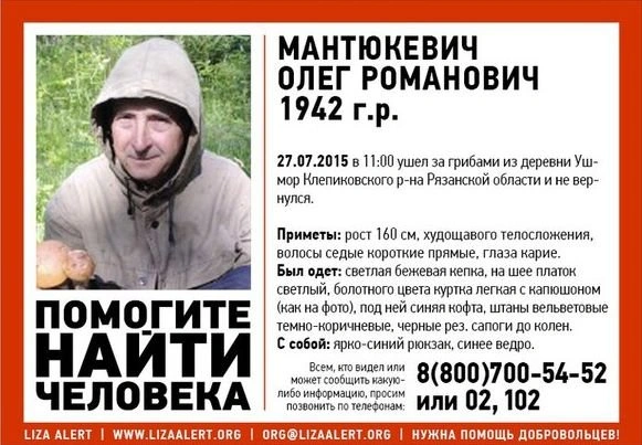 В Рязанской области пропал 73-летний грибник | ya62.ru