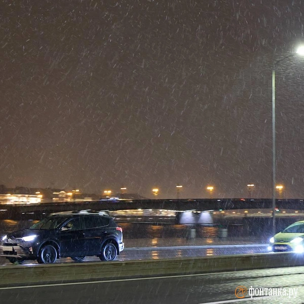 Источник: Дарья Драй / «Фонтанка.ру»