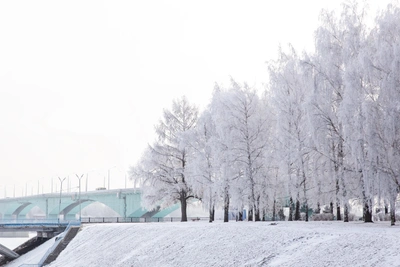 Погода в Центральной России в первые дни января: прогноз