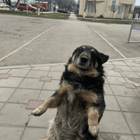 Аватарка Юлька
