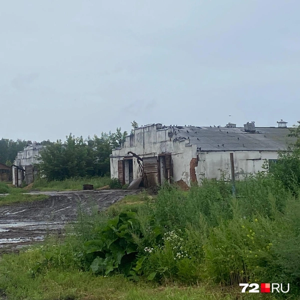 Источник: предоставлено читателем 72.RU