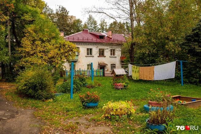 Краски осени и стирального порошка для цветного белья | Источник: Александра Савельева