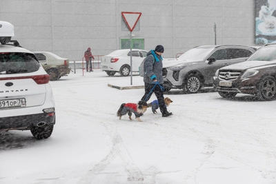 Новый вихрь принесет метели в Ярославскую область и Центральную Россию