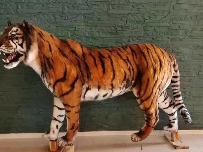 Объявление опубликовано 10 октября | Источник: «Авито»