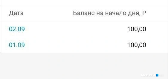 Это не мелочь в кармане | Источник: читатель NGS24.RU