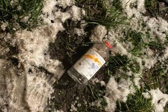 Источник: ГУ Росгвардии по Санкт-Петербургу и Ленобласти