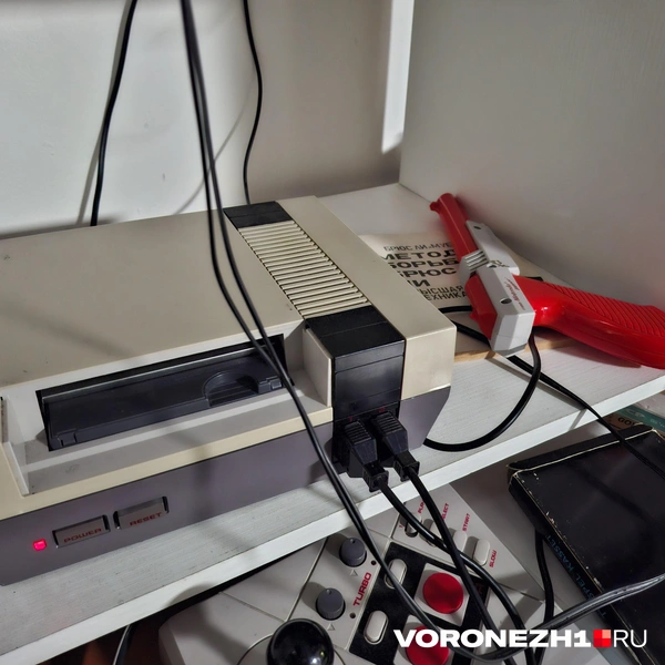 Источник: Алёна Воропаева / Voronezh1.ru