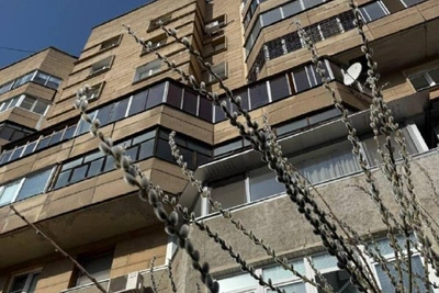 Весна в Екатеринбурге: расцвела верба и мать-и-мачеха