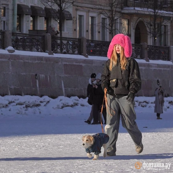 Источник: Павел Даиси / FONTANKA.RU