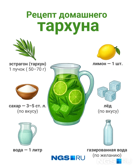 Рецепт вкусного домашнего тархуна прост | Источник: Юрий Орлов / NGS.RU