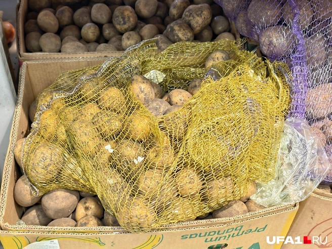 Наши соотечественники | Источник: Булат Салихов / UFA1.RU