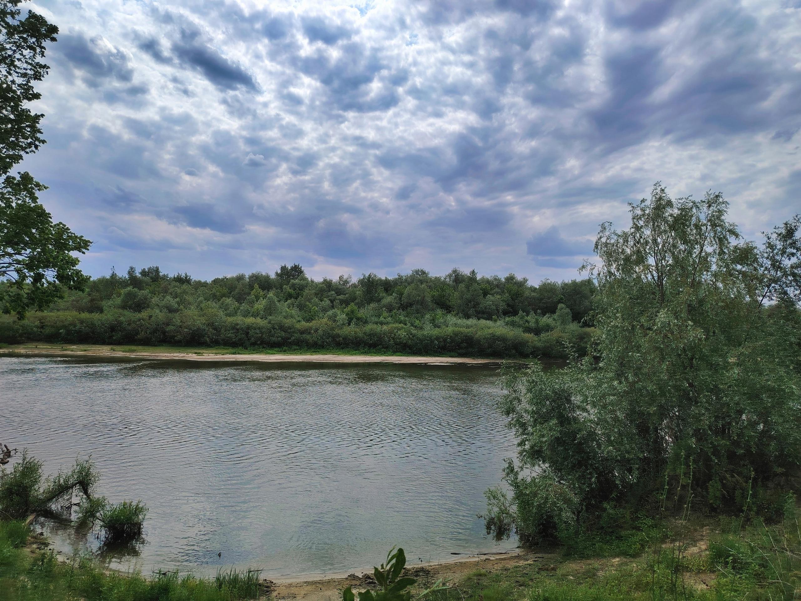 Фотограф-любитель показала окрестности Петровского леса под Волгоградом — смотрите, сколько зелени вокруг!