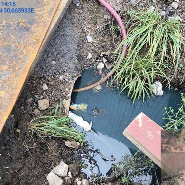 Источник: комитет госэконадзора Ленобласти