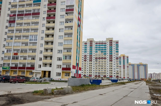Инцидент произошел на улице Одоевского | Источник: Анна Золотова / NGS.RU