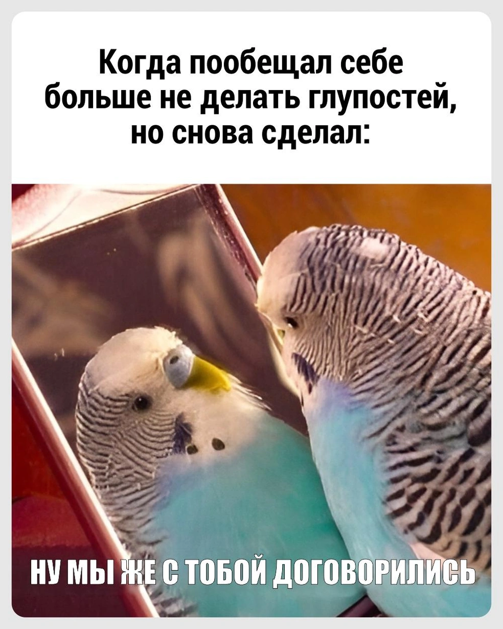 В следующий раз получится! | Источник: Городские медиа