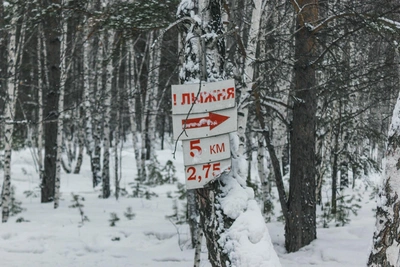 Екатеринбуржцы спорят о пешеходах на лыжне