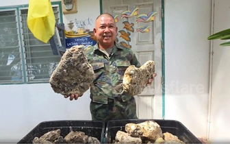 Офицер из Таиланда продает 55 кг затвердевшей рвоты кашалота. Просит миллион батов, но она явно дороже