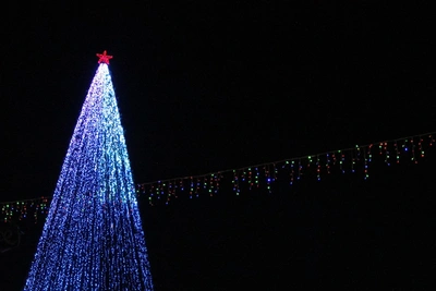 В Томске уберут главную новогоднюю ёлку