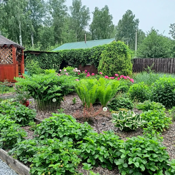 Источник: предоставлено участником конкурса