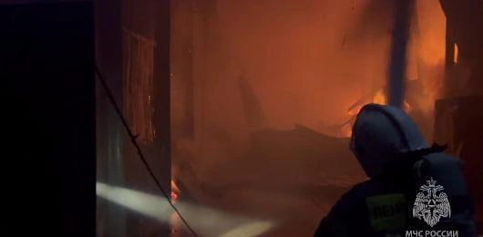 Источник: кадр из видео ГУ МЧС по Ленобласти