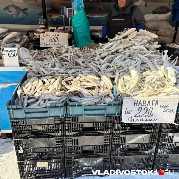 Источник: Елена Буйвол / VLADIVOSTOK1.RU