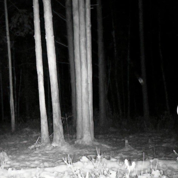 Источник:  Павел Глазков / «Каждой твари по паре» 