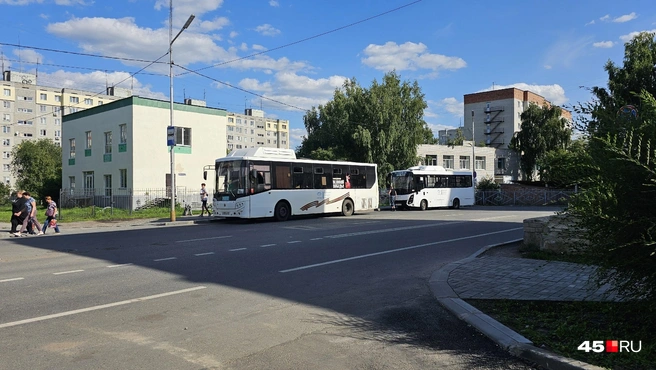 От остановки «Криволапова» можно уехать в Вороновку, Заозерный и Рябково | Источник: Дарья Никитченко / 45.RU