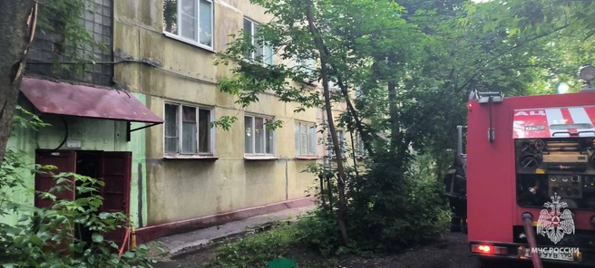 Дети и взрослые погибли в Подмосковье при квартирном пожаре  | Источник: МЧС 
