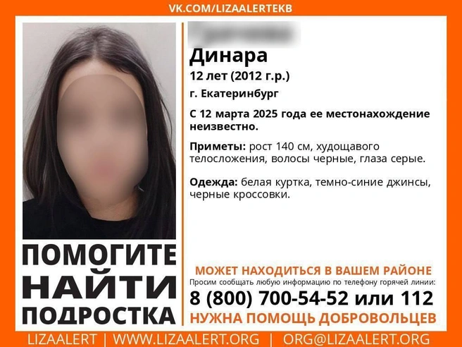 Присмотритесь к фото, возможно, вы видели девочку | Источник: поисковый отряд «ЛизаАлерт», Артем Устюжанин / E1.RU