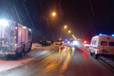 Авария в Зубово-Полянском районе: погибли женщина и девочка