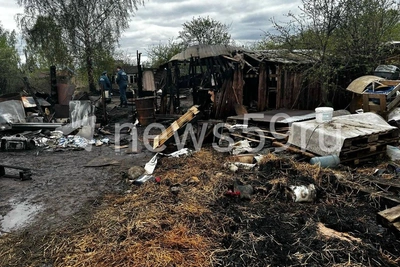 В Перми сгорел собачий приют: 20 животных погибли