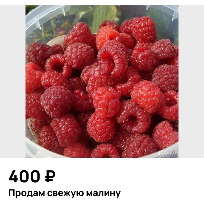 Какая аппетитная!  | Источник: Avito.ru