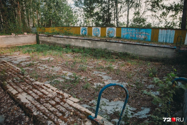 Всё, что осталось от некогда красивого уличного бассейна. Не сохранили | Источник: Ирина Шарова / 72.RU 