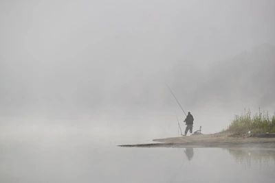 Стрельба в Мошковском районе: есть погибший