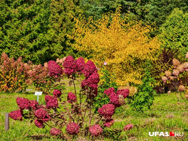 Красно-желто-зеленый пейзаж | Источник: Булат Салихов / UFA1.RU