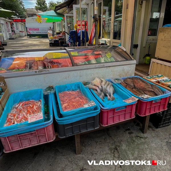 Источник: Елена Буйвол / VLADIVOSTOK1.RU