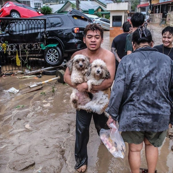 Источник: Фобос. Катаклизмы и катастрофы природы / Telegram