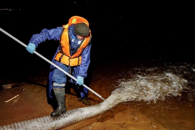 В Неву выпустили 11 тысяч мальков лосося